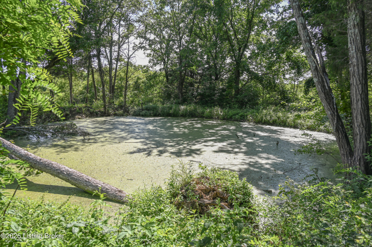 Listing Image 36