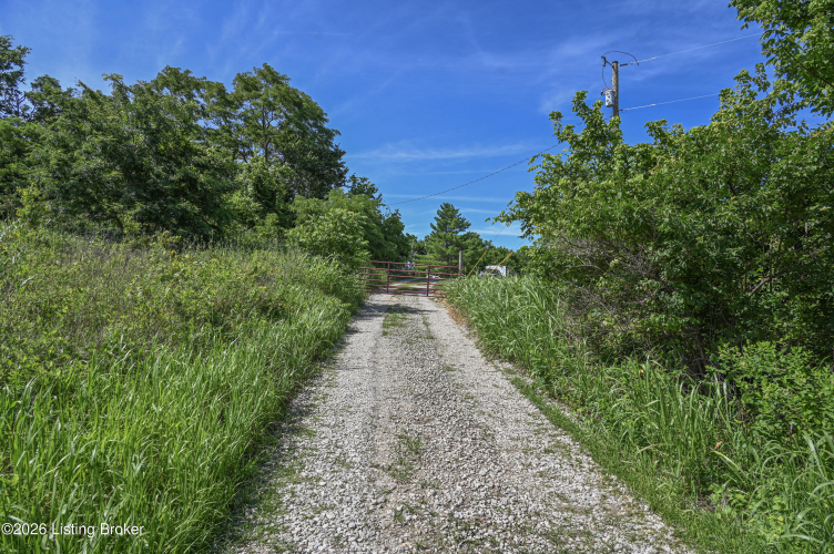 Listing Image 42