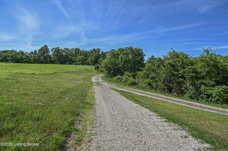 Listing Image 50