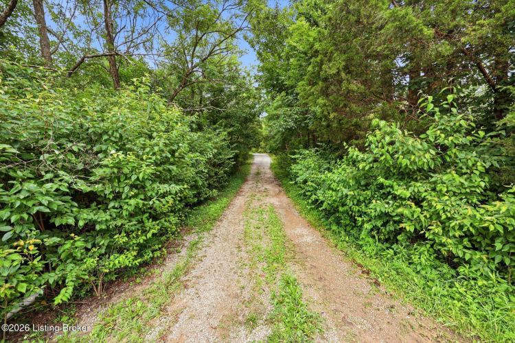 Listing Image 51