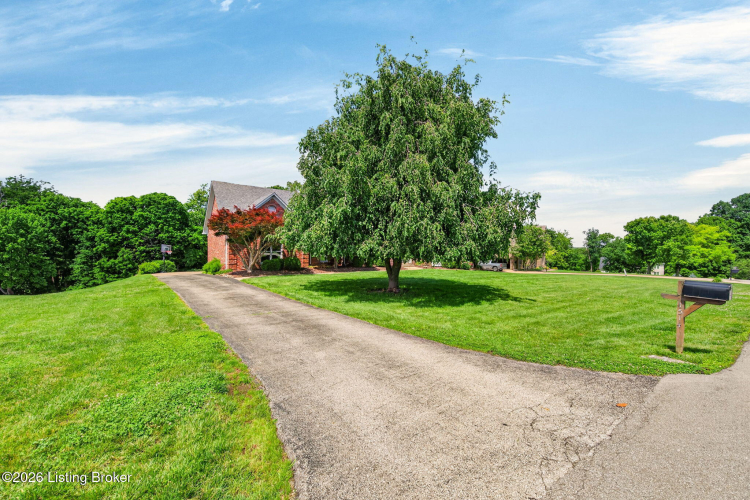 Listing Image 68