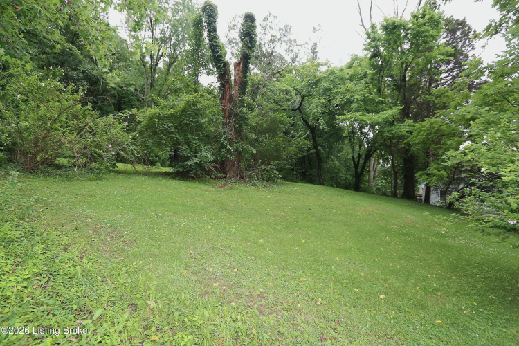 Listing Image 57