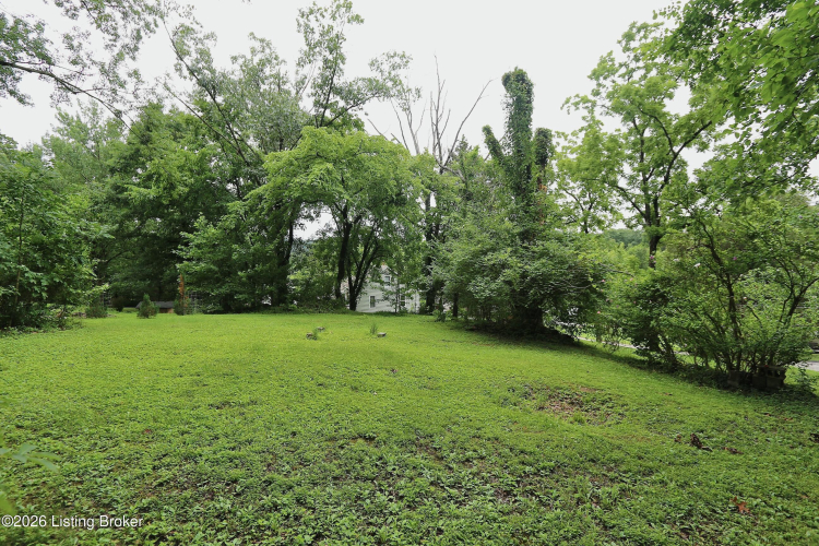 Listing Image 59