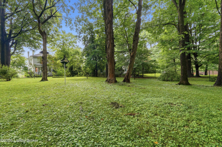 Listing Image 50