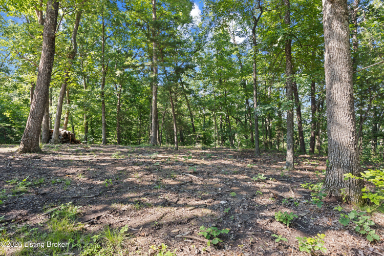 Listing Image 48