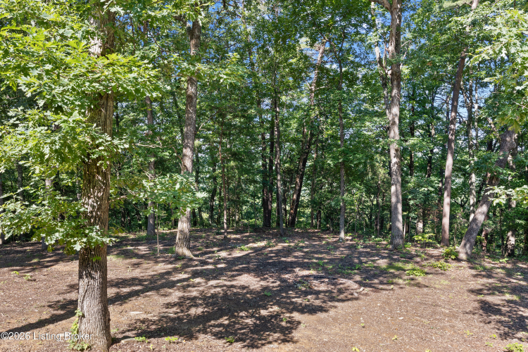 Listing Image 49