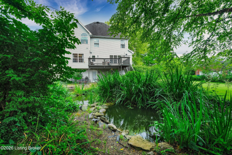 Listing Image 49