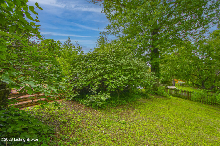 Listing Image 46