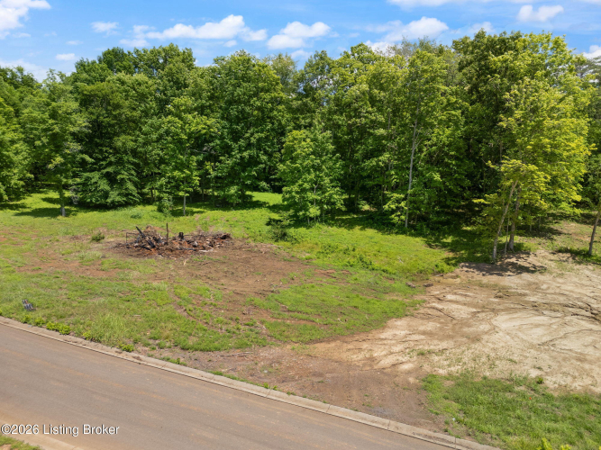Listing Image 19
