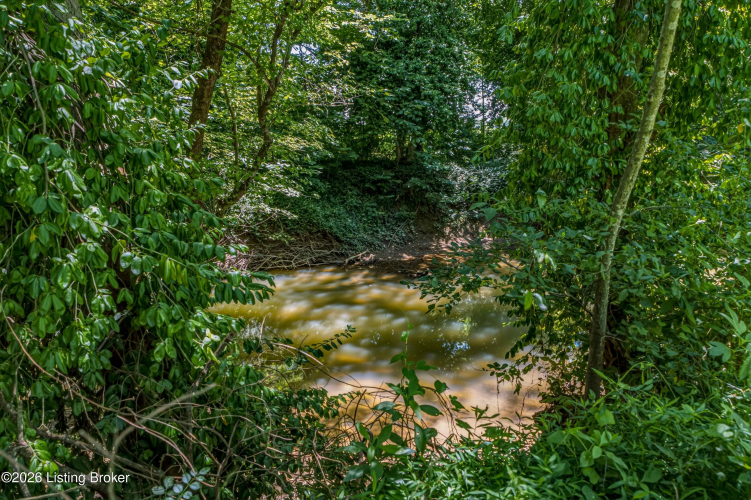 Listing Image 37