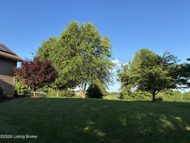 Listing Image 91