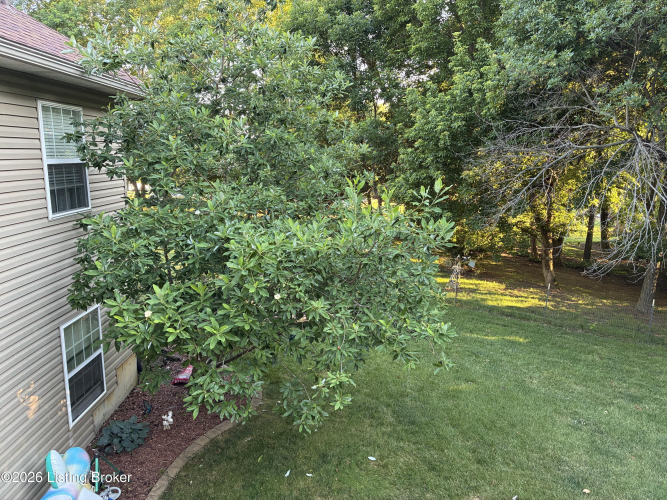 Listing Image 94