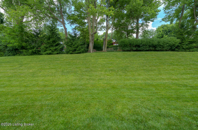 Listing Image 54