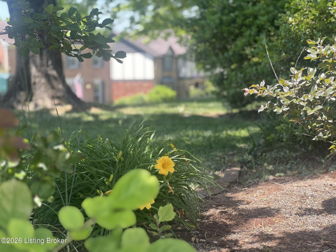Listing Image 51