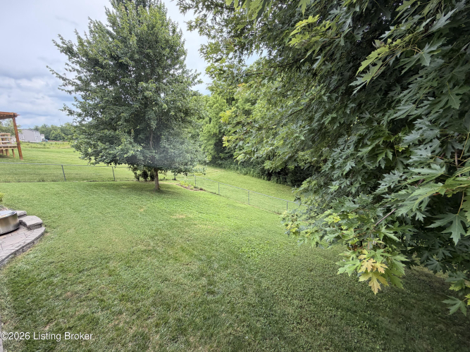 Listing Image 50