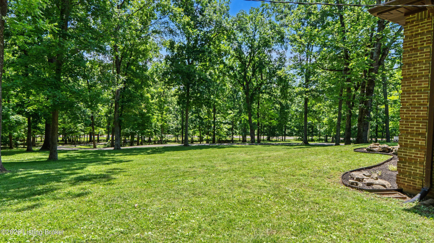 Listing Image 53