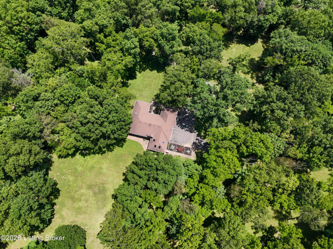Listing Image 62