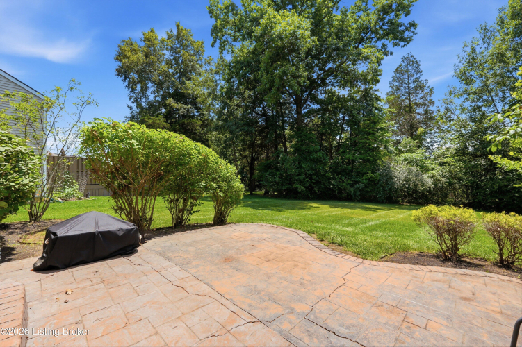 Listing Image 53