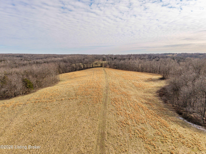 Listing Image 49