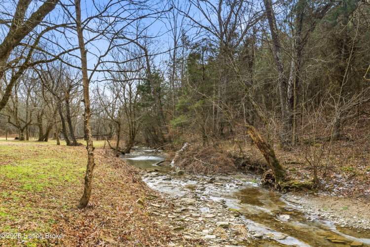Listing Image 55
