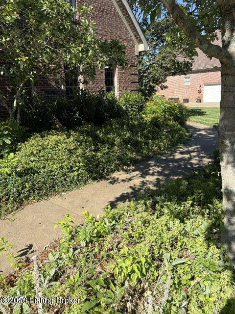 Listing Image 51