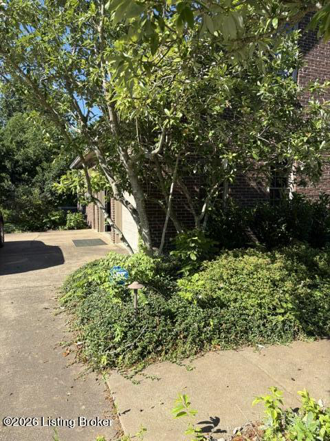 Listing Image 52