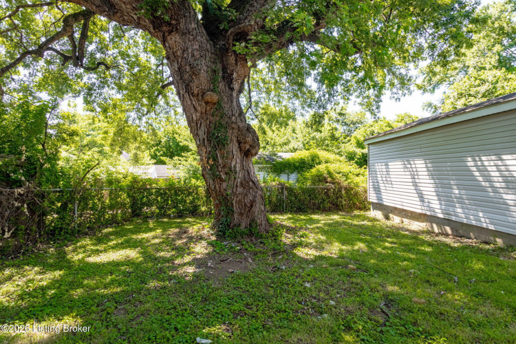 Listing Image 31
