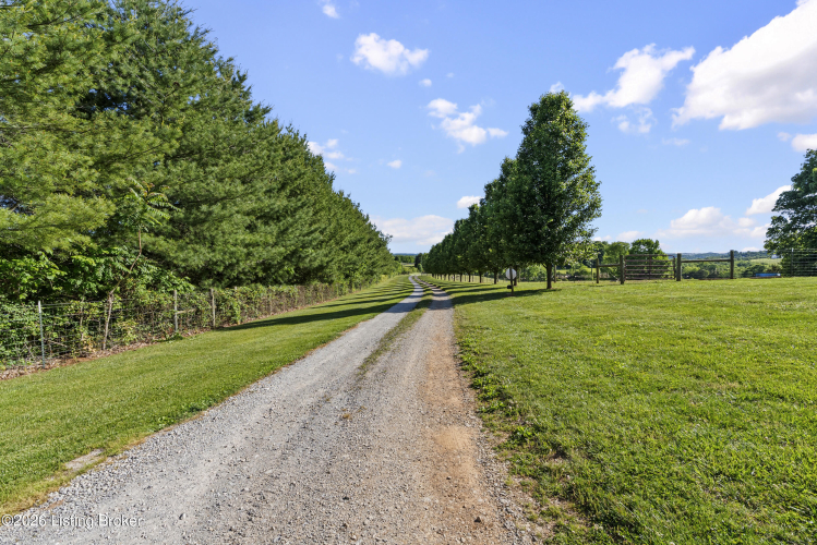 Listing Image 54