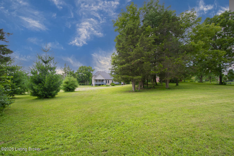 Listing Image 99