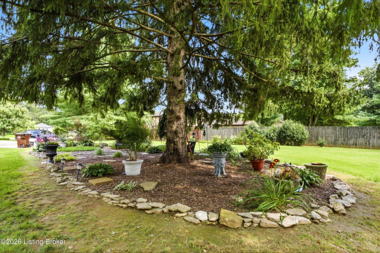 Listing Image 33