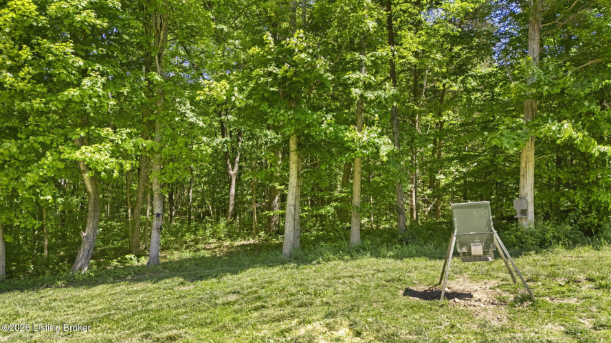 Listing Image 70
