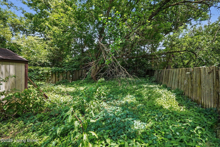 Listing Image 14