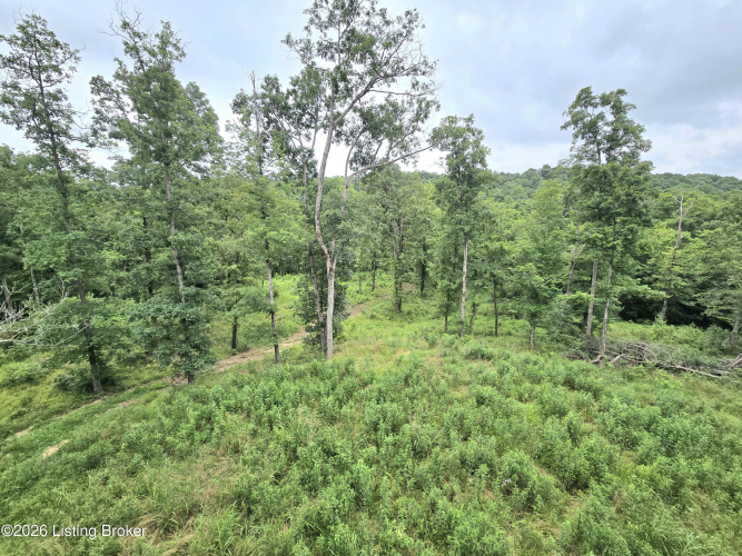 Listing Image 38