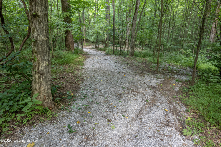 Listing Image 51
