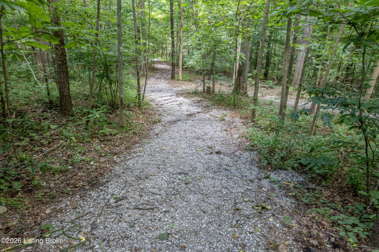 Listing Image 52