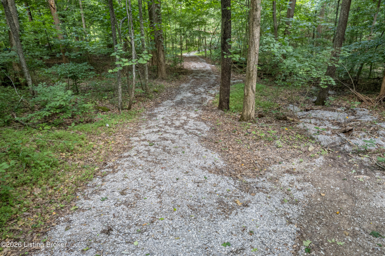 Listing Image 53