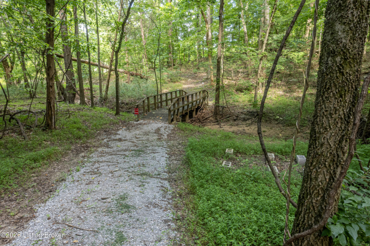 Listing Image 54