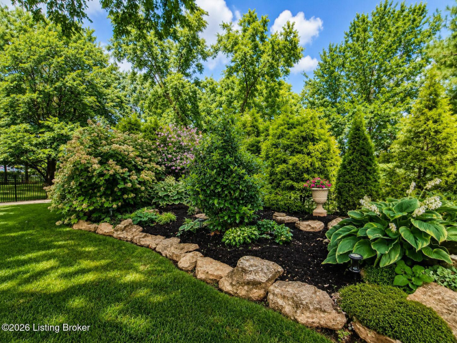 Listing Image 64