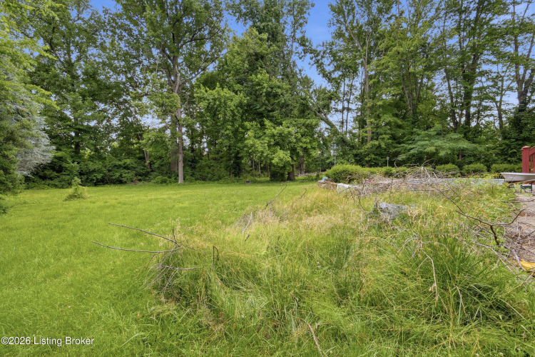Listing Image 49