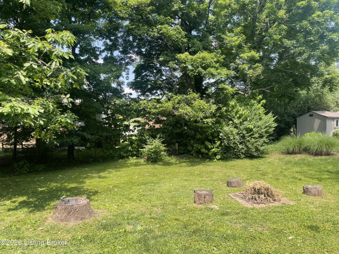 Listing Image 20