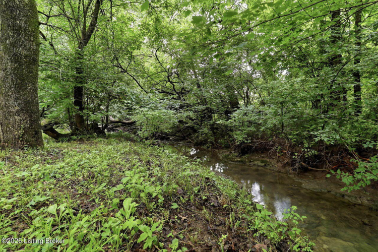 Listing Image 65