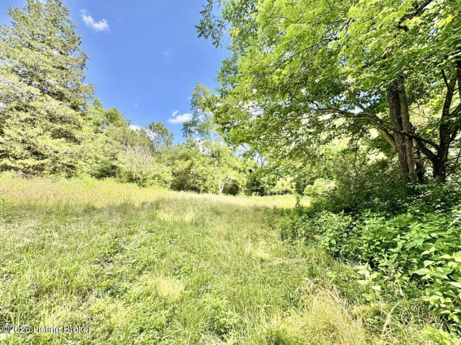 Listing Image 39