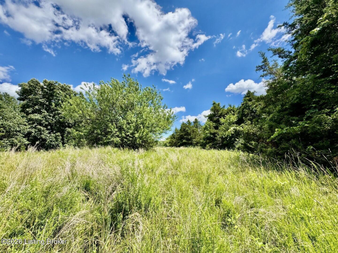 Listing Image 46