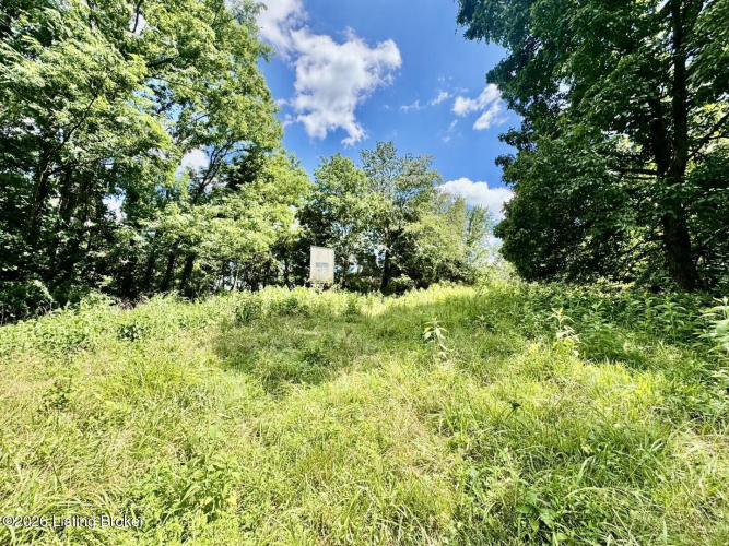 Listing Image 48