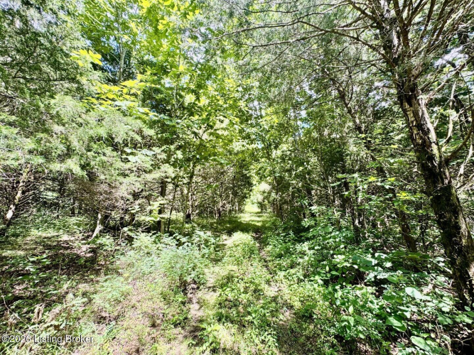 Listing Image 50