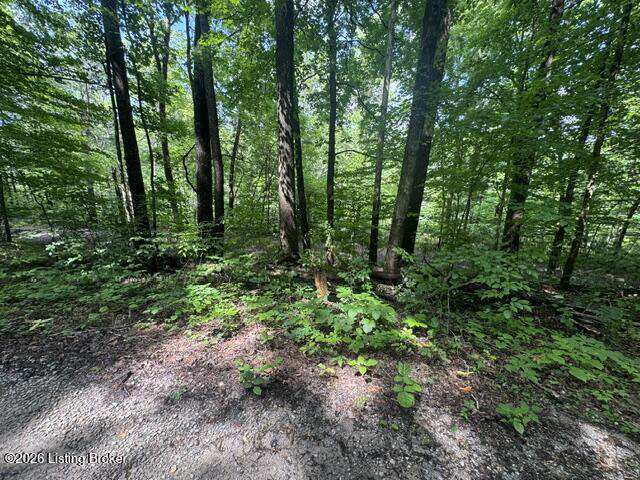0 Plane Tree Ln Bee Spring KY 42207 (House For Sale) | MLS 1722617
