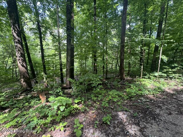 0 Plane Tree Ln Bee Spring KY 42207 (House For Sale) | MLS 1722617