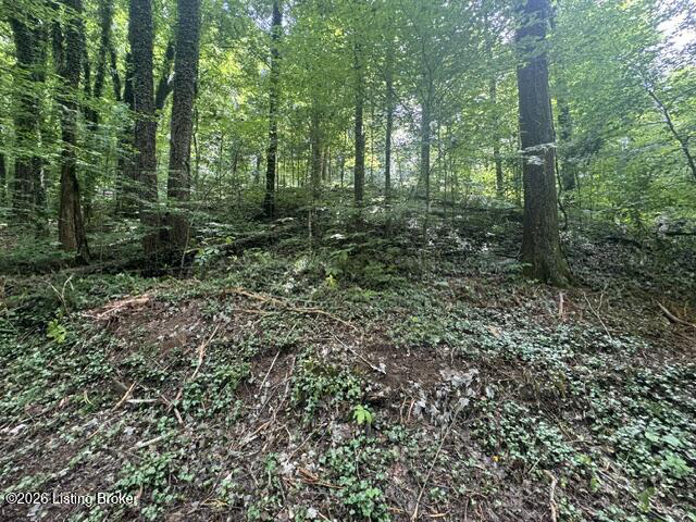 0 Plane Tree Ln Bee Spring KY 42207 (House For Sale) | MLS 1722617
