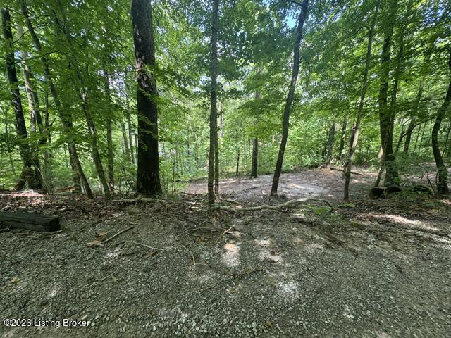 0 Plane Tree Ln Bee Spring KY 42207 (House For Sale) | MLS 1722617
