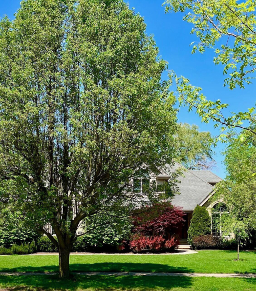 Listing Image 51